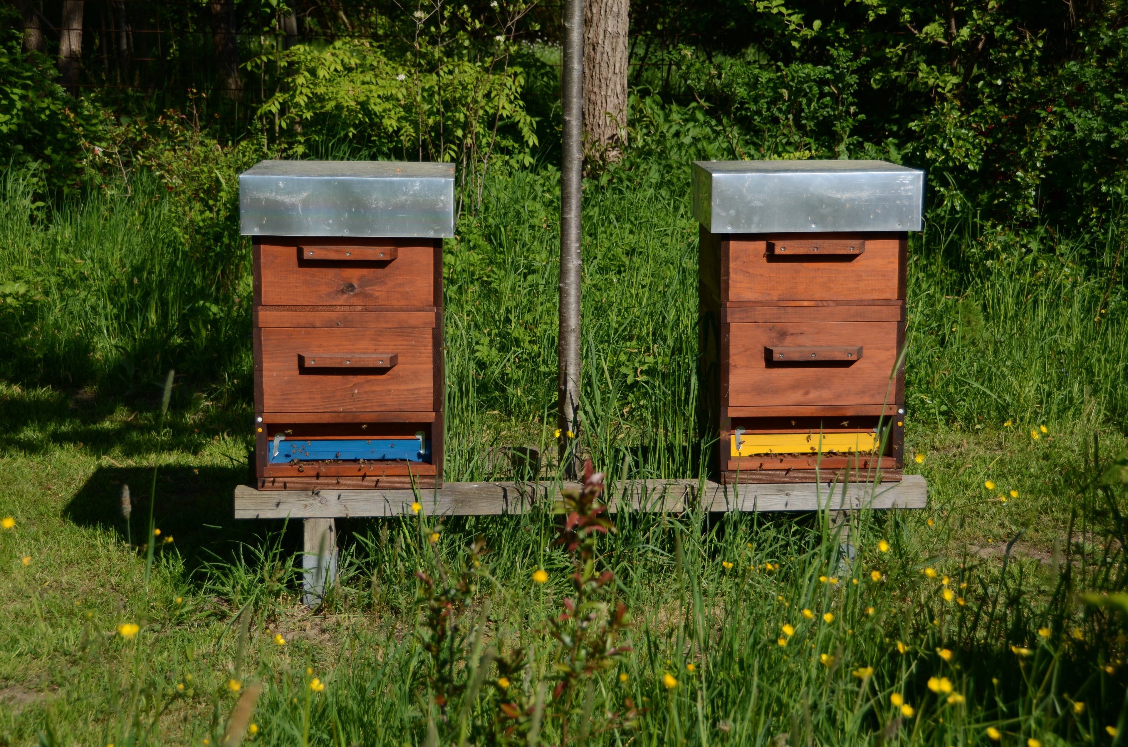 Zwei Multibeute Komplettbeuten zur Honigernte für Imker
