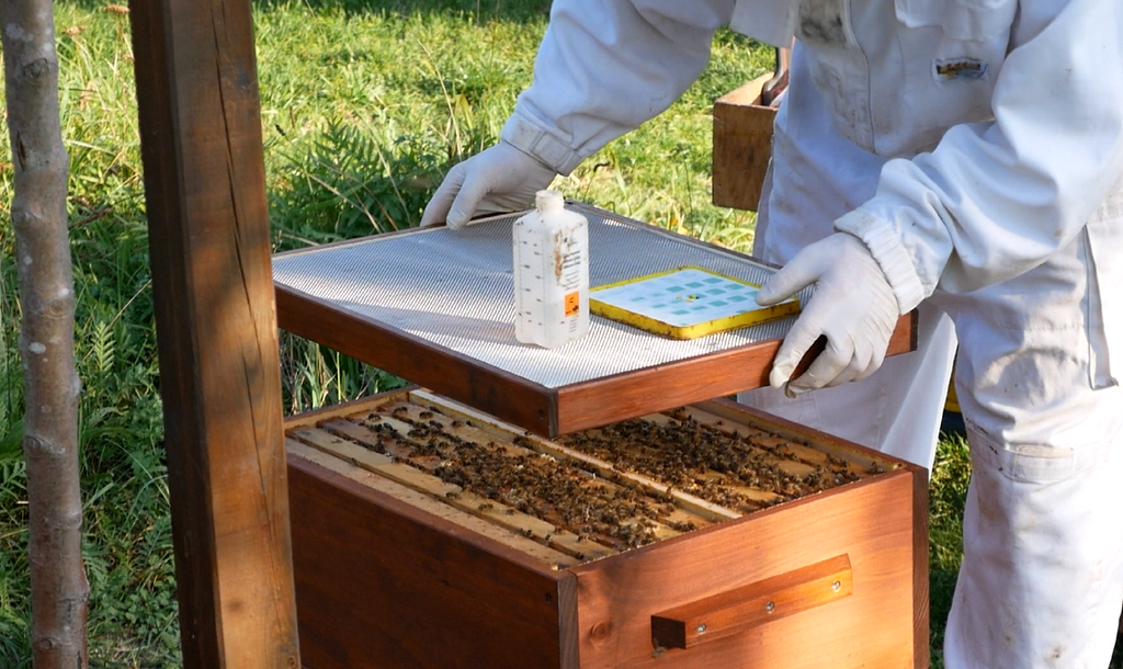 Anwendung im Kaltbau