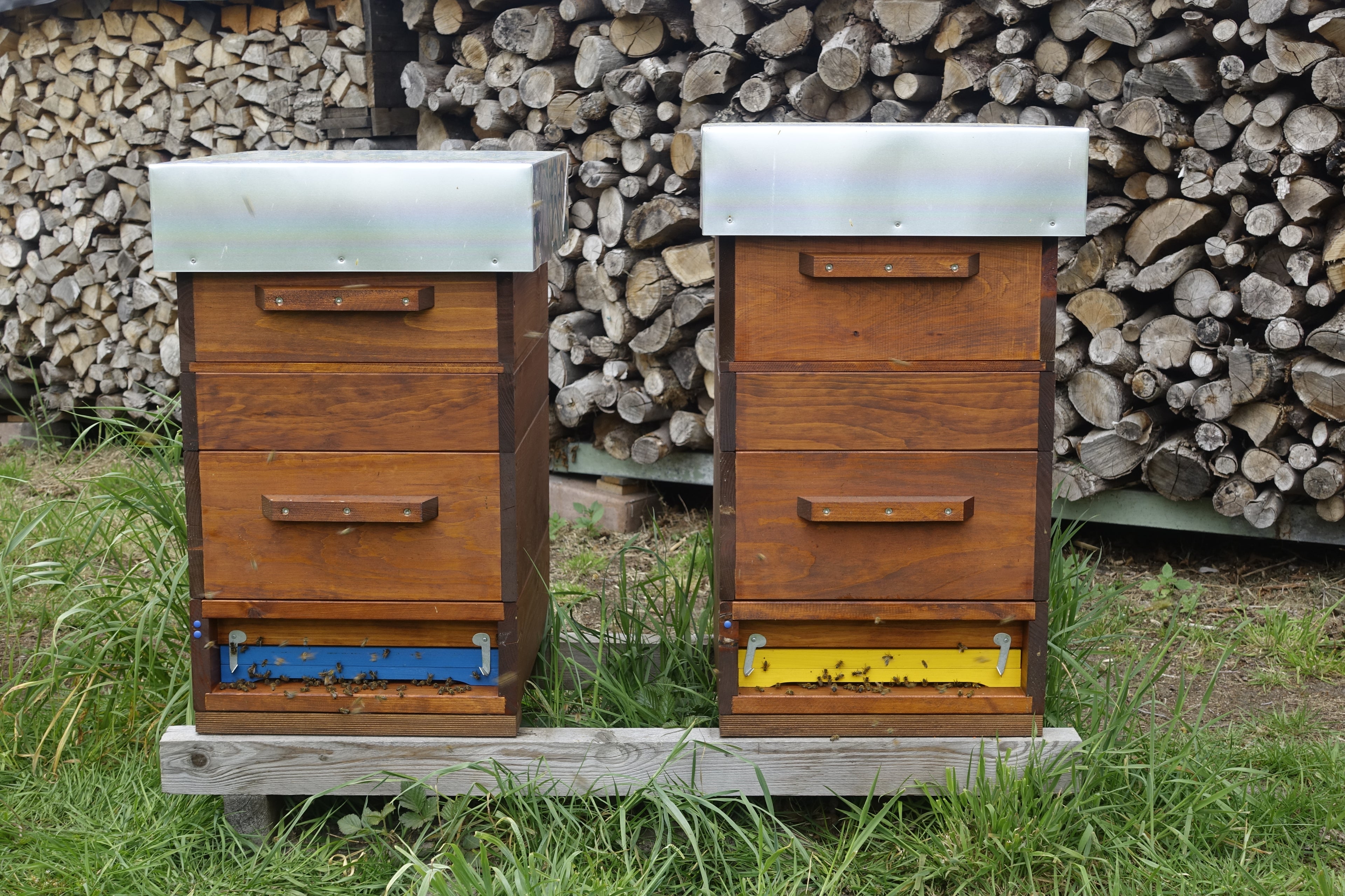 Unterböden im Einsatz bei Wirtschaftsvölkern