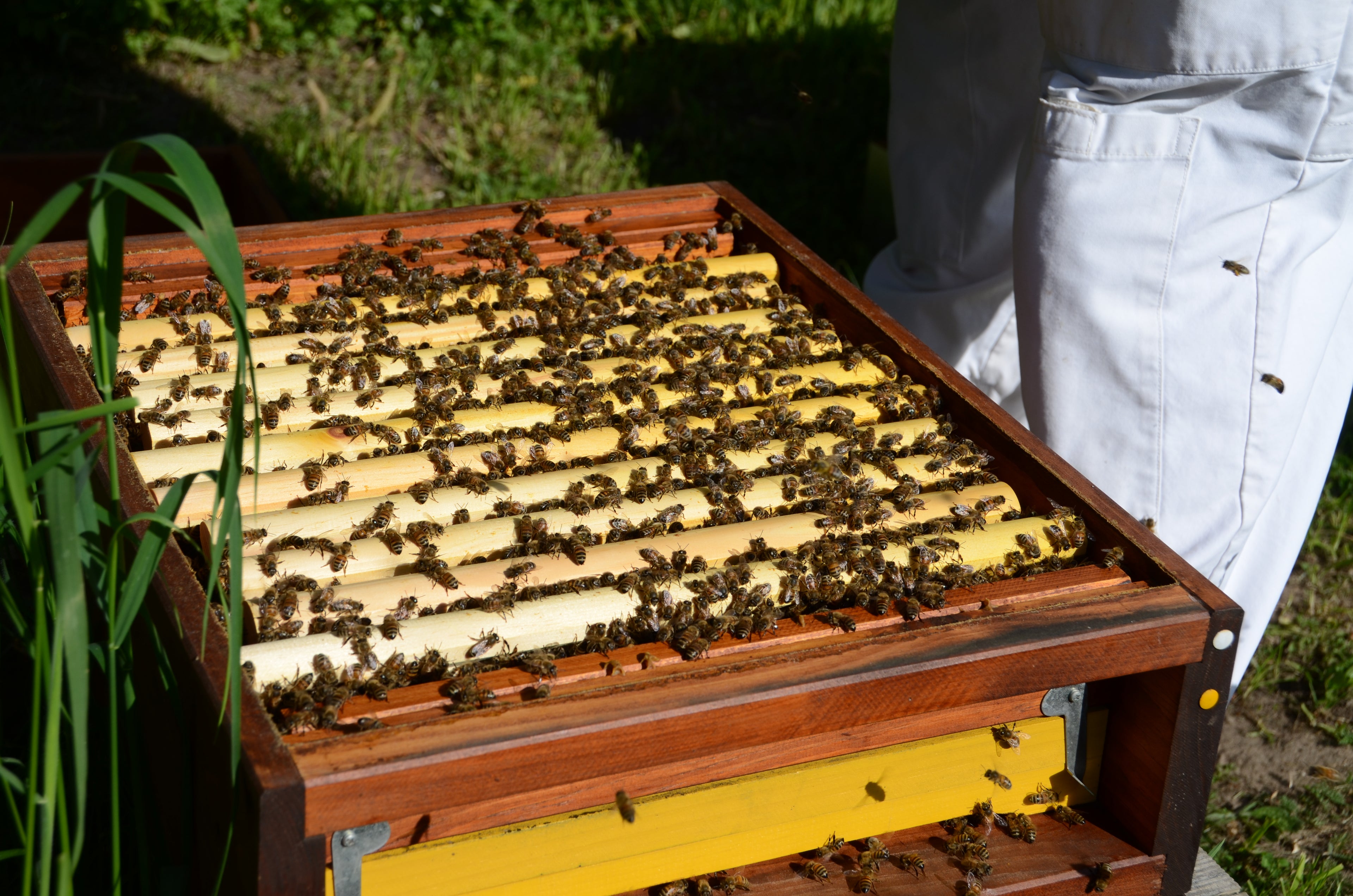 Positionierung im Warmbau