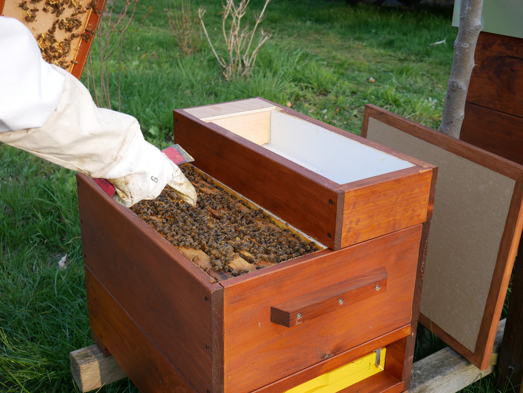 Öffnen und bearbeiten der Ableger ...