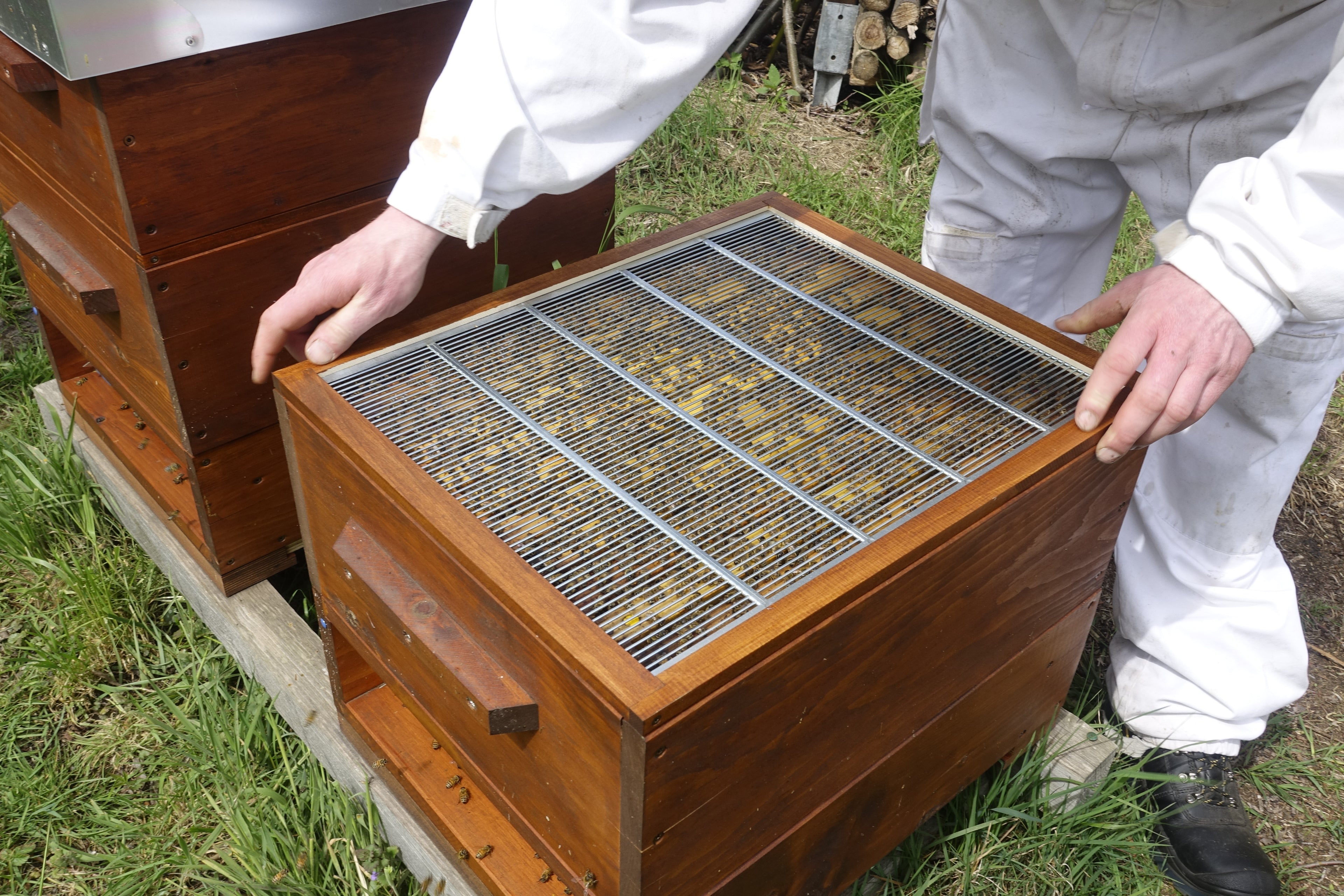 Zügige Positionierung, ohne Bienen vertreiben zu müssen
