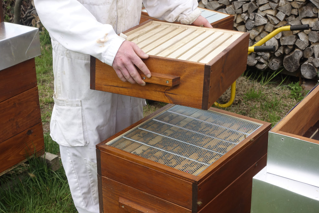 Flachere Honigraumrähmchen Dadant