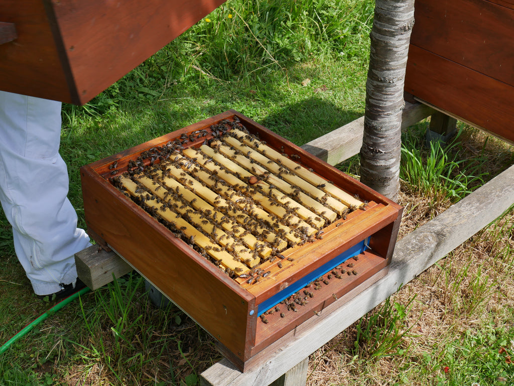 Positionierung im Kaltbau