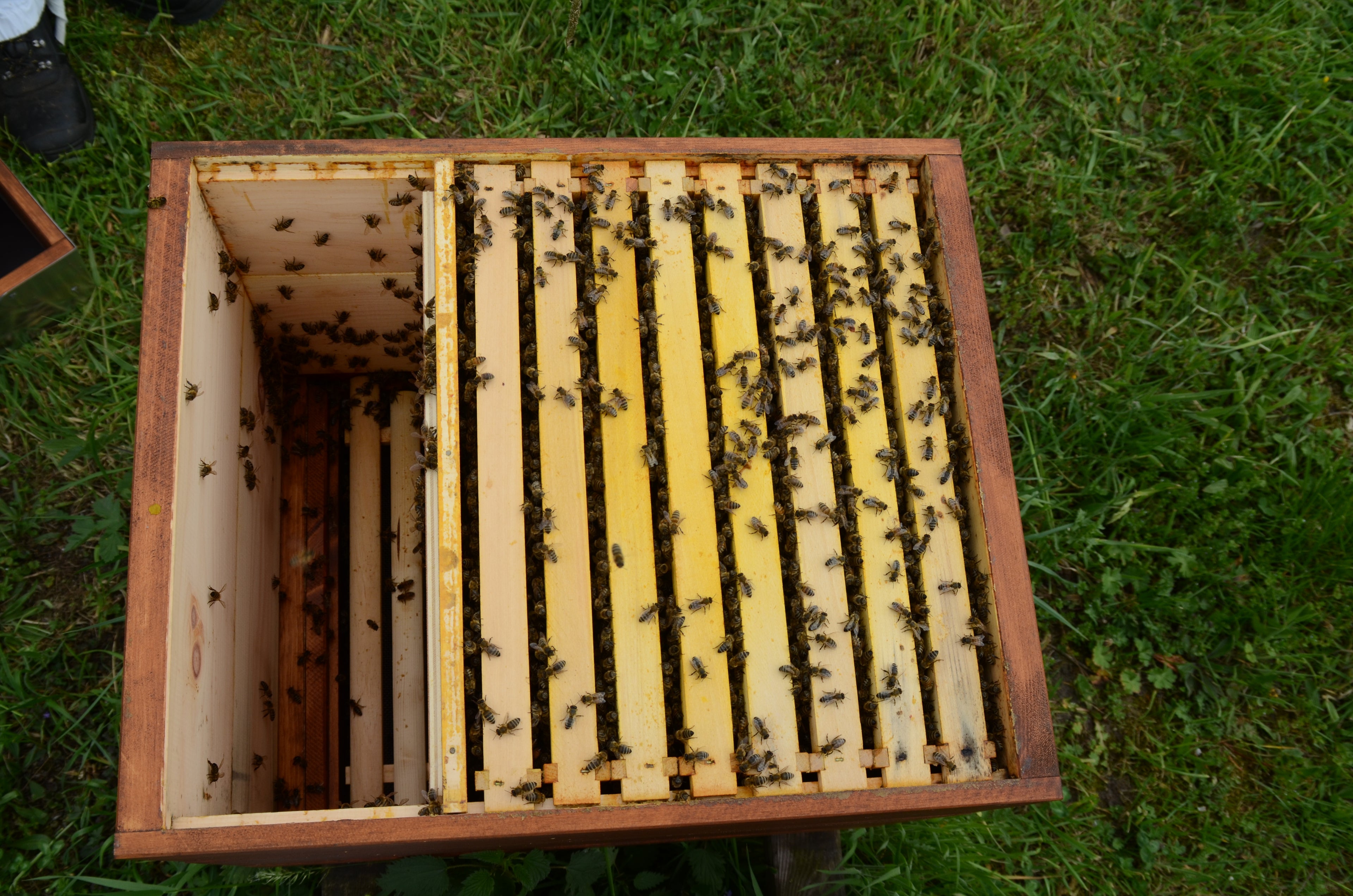 Der Aufsetzrahmen erweitert die Ausgangszarge auf das gewünschte Rähmchenmaß