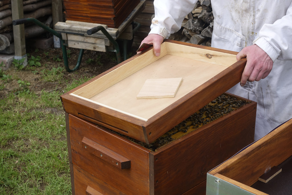 Mit Spannung wird erwartet was der Zwischenboden Preis gibt