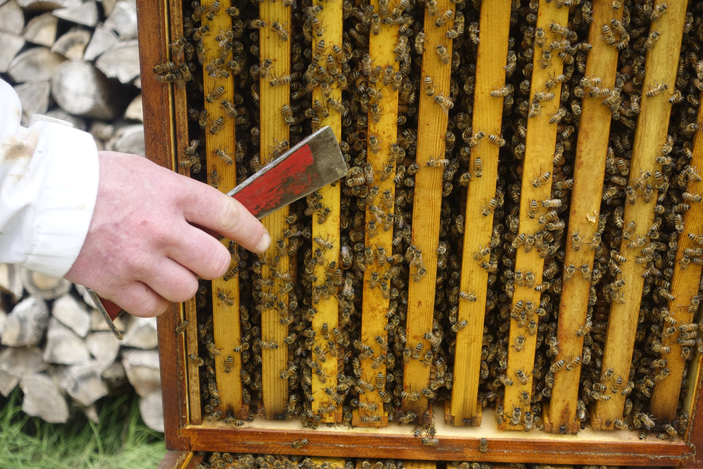 Ein kurzer Blick und man weiß Bescheid
