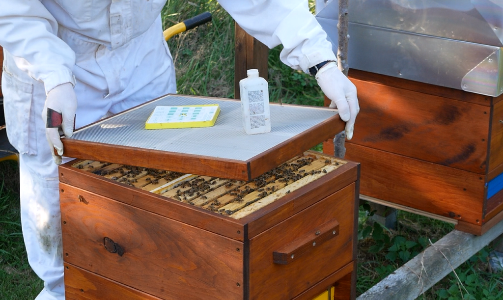 Anwendung im Warmbau