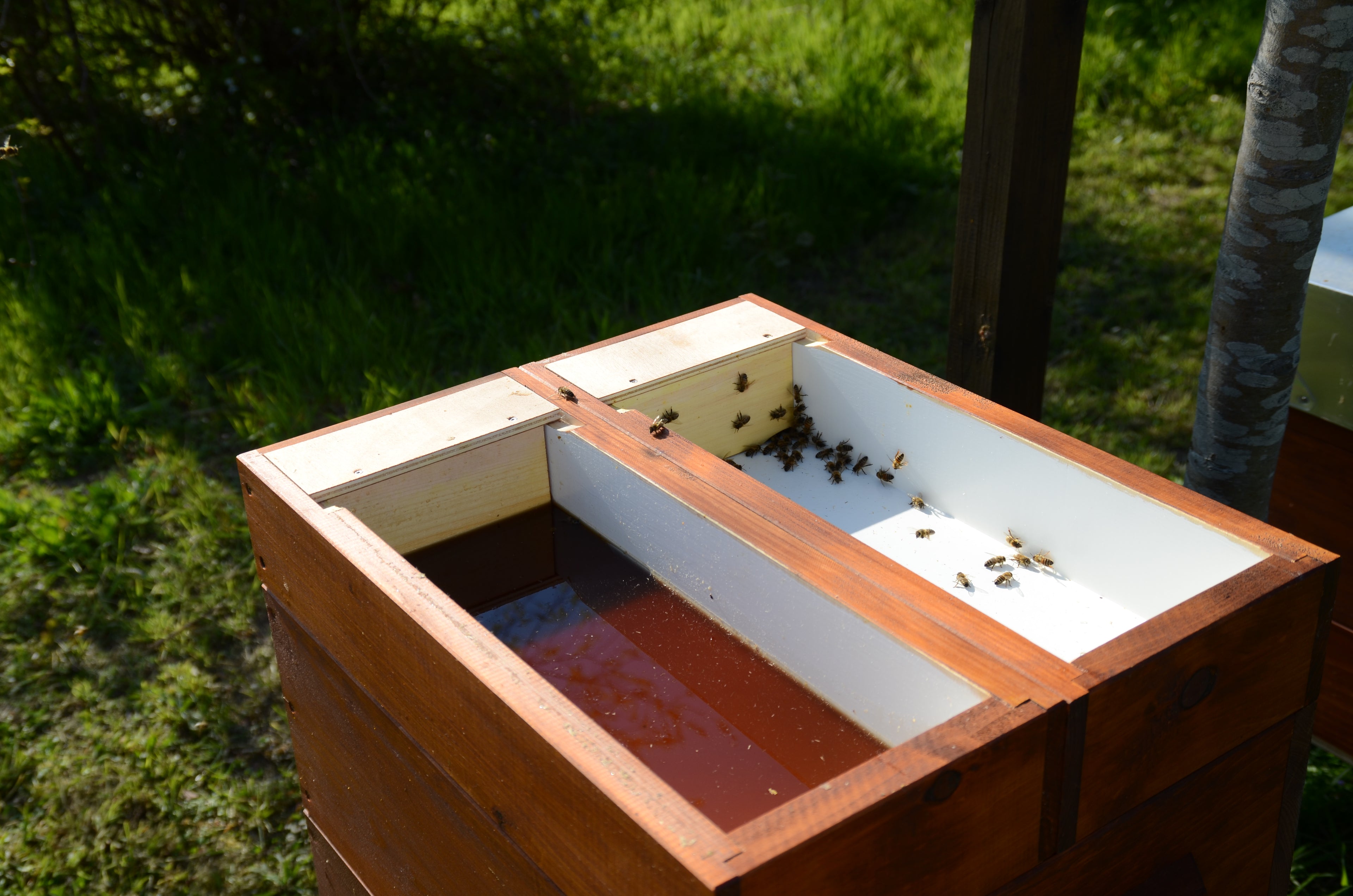 Getrennte Fütterung