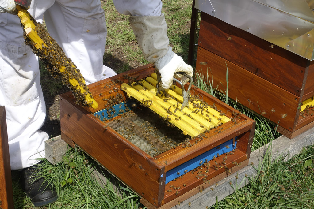Zwei einzelne Bausperren für die Teilung des Unterbodens