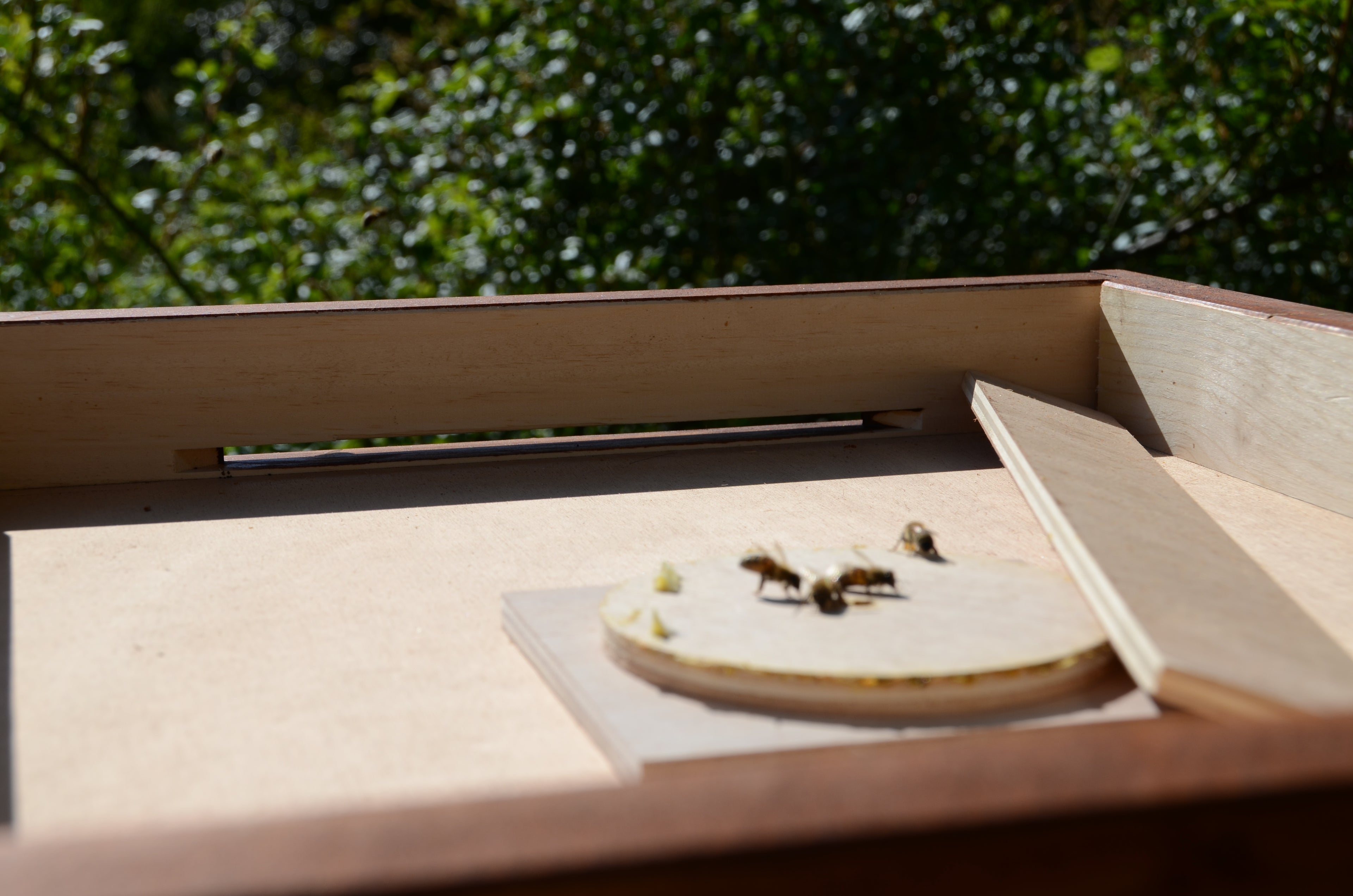 Abzug der stockfeuchten Luft aus dem Honigraum