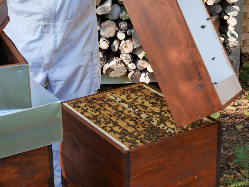 Futtertrog Wirtschaftsvolk