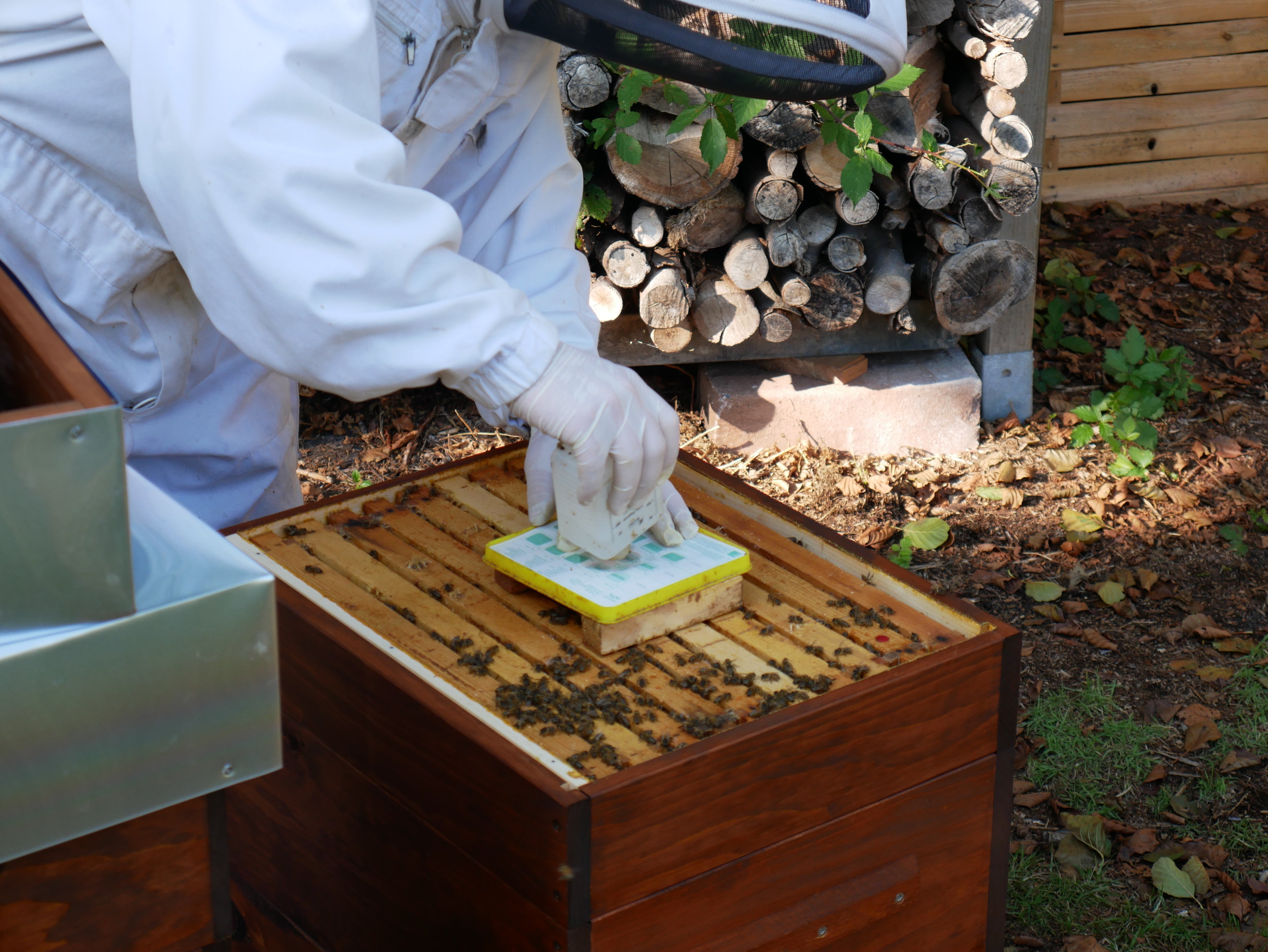 Futtertrog Wirtschaftsvolk