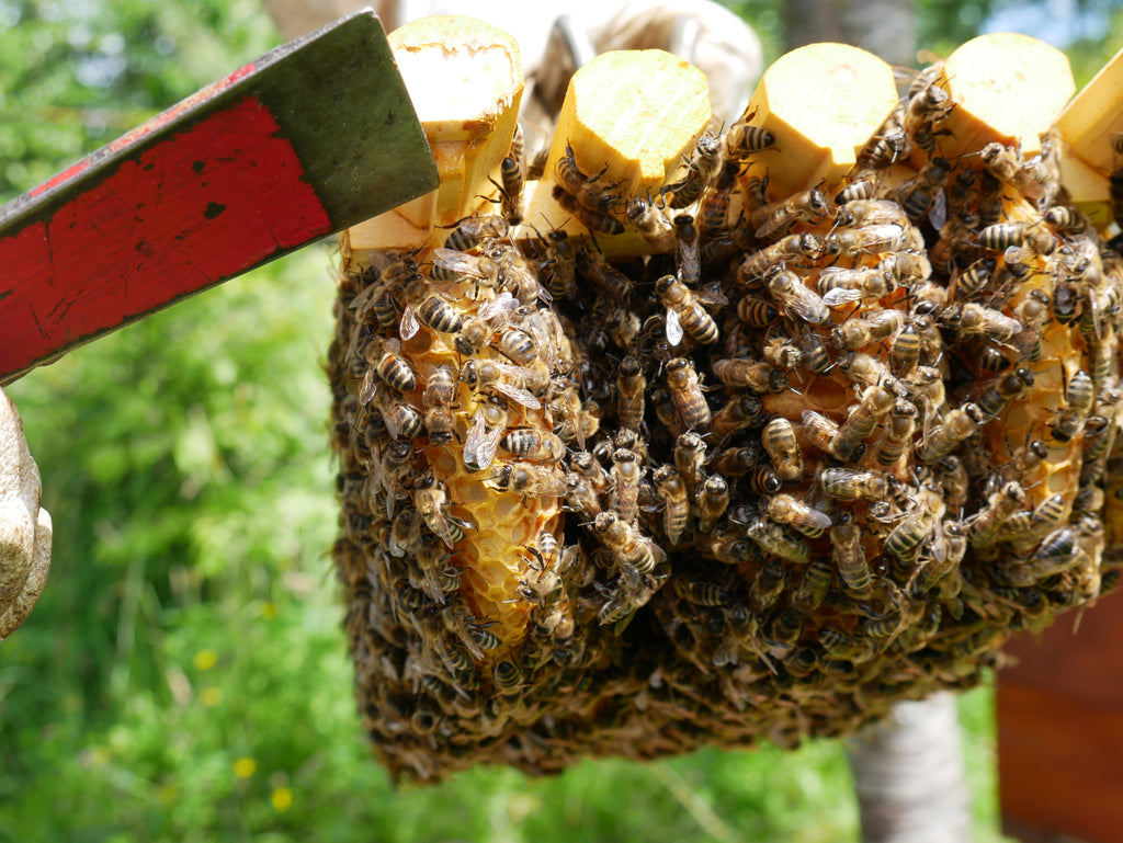 ... durch Schiffsrumpffräsung