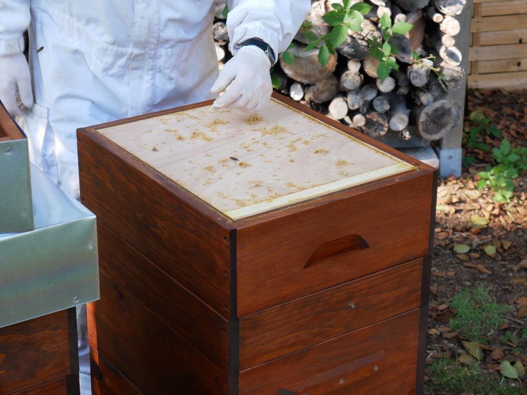 Futtertrog Wirtschaftsvolk