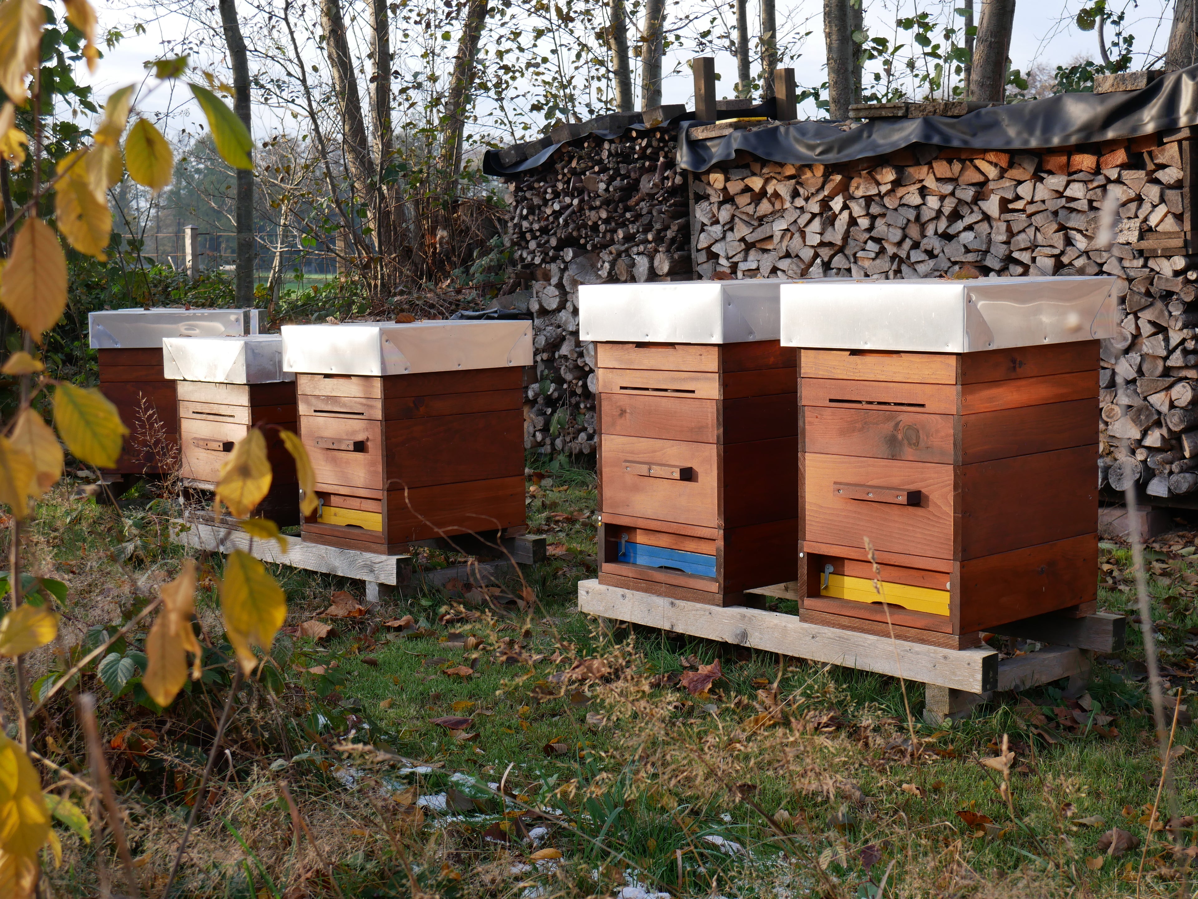 Multibeute-Set zur Bienenhaltung