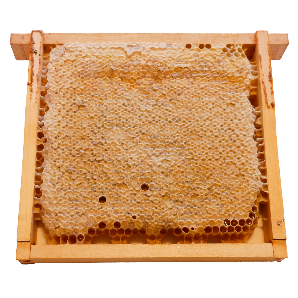 Rähmchen Mini-Multi