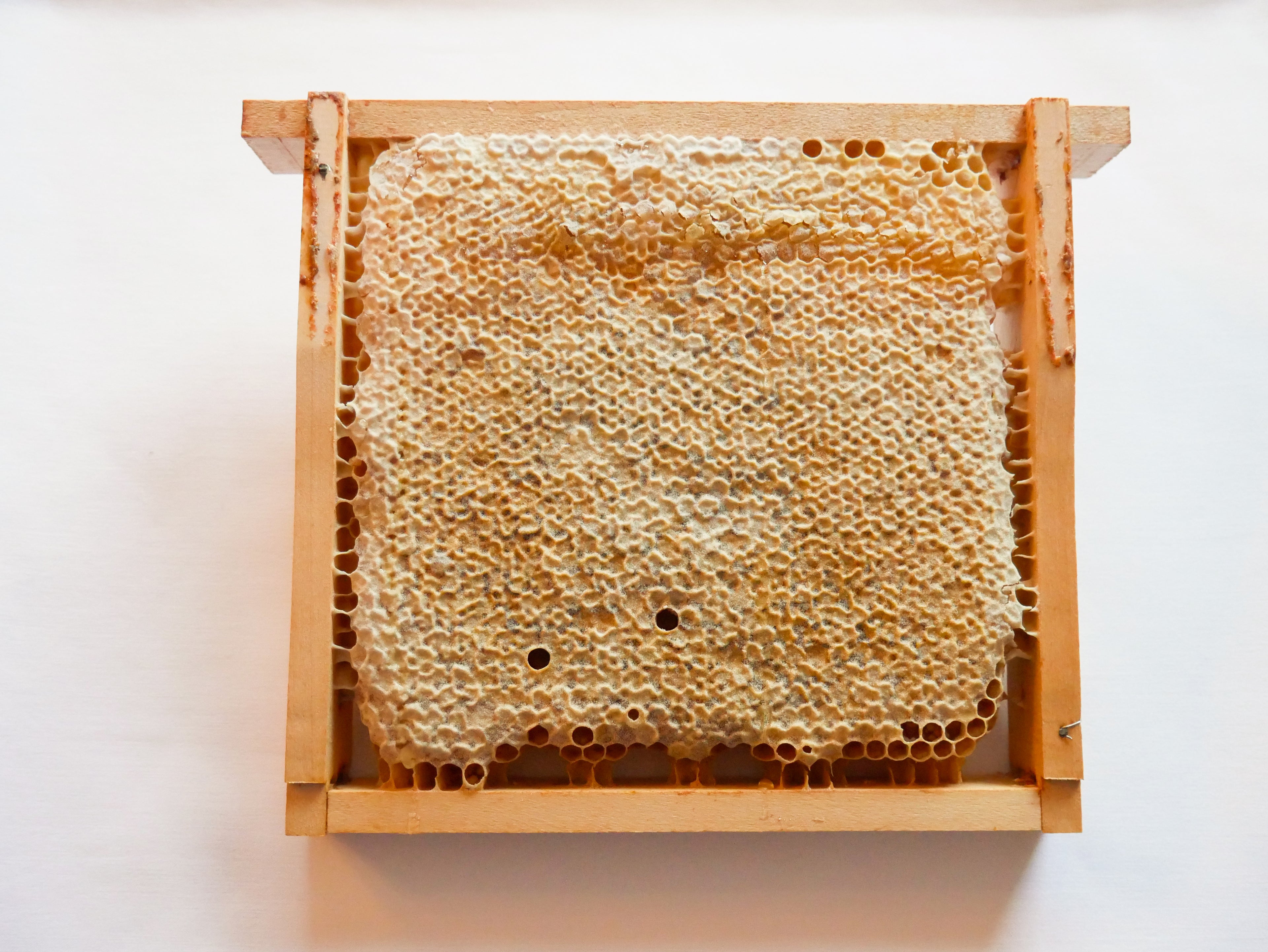 Rähmchen Mini-Multi